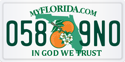 FL license plate 0589NO
