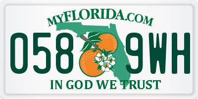 FL license plate 0589WH
