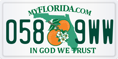 FL license plate 0589WW