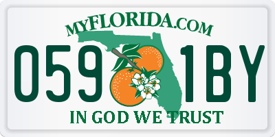 FL license plate 0591BY