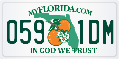 FL license plate 0591DM