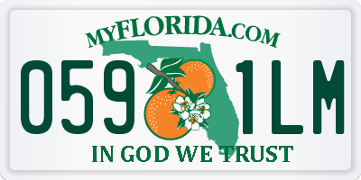 FL license plate 0591LM