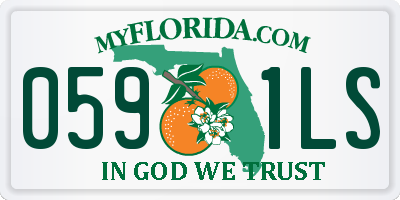 FL license plate 0591LS