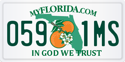 FL license plate 0591MS