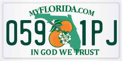 FL license plate 0591PJ