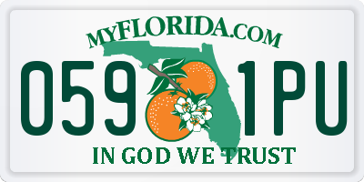 FL license plate 0591PU