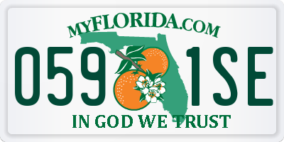 FL license plate 0591SE