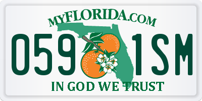 FL license plate 0591SM
