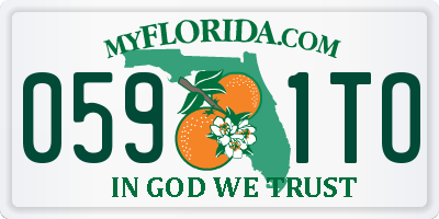 FL license plate 0591TO