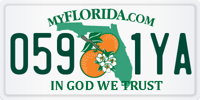 FL license plate 0591YA