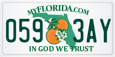 FL license plate 0593AY