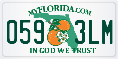FL license plate 0593LM