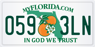 FL license plate 0593LN