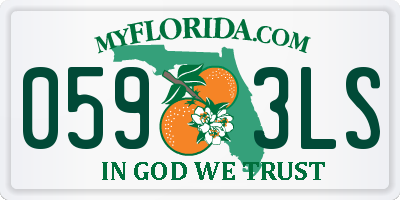 FL license plate 0593LS