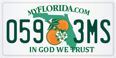 FL license plate 0593MS