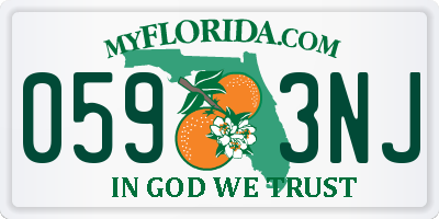 FL license plate 0593NJ