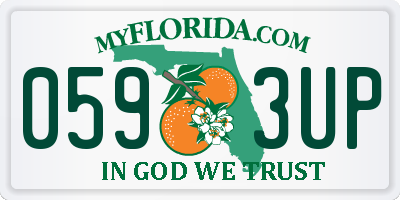 FL license plate 0593UP