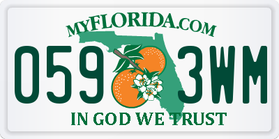FL license plate 0593WM