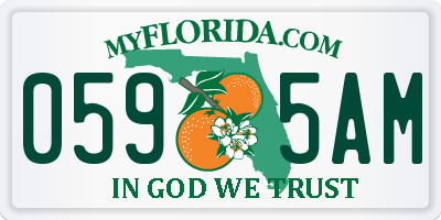 FL license plate 0595AM