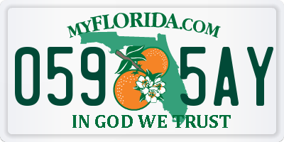 FL license plate 0595AY