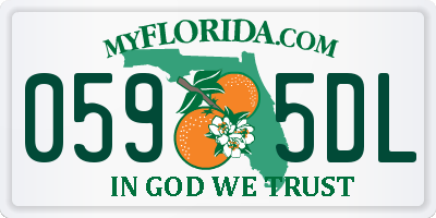 FL license plate 0595DL