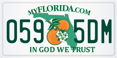 FL license plate 0595DM