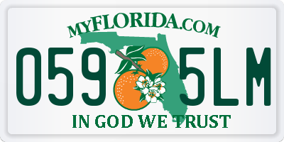 FL license plate 0595LM