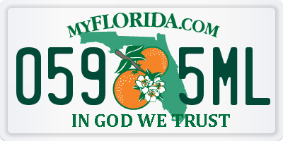 FL license plate 0595ML