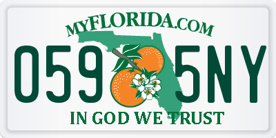 FL license plate 0595NY