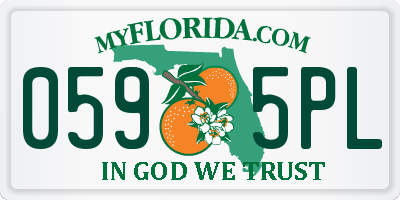 FL license plate 0595PL