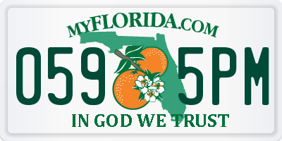 FL license plate 0595PM