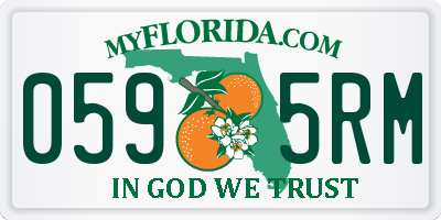 FL license plate 0595RM
