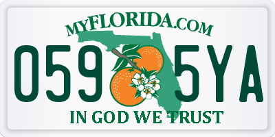 FL license plate 0595YA