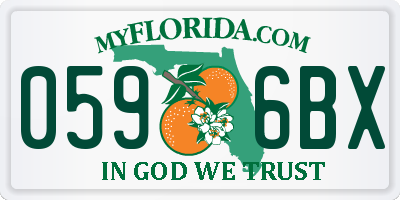 FL license plate 0596BX