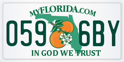FL license plate 0596BY