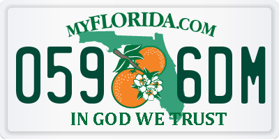 FL license plate 0596DM