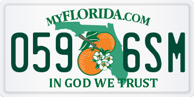 FL license plate 0596SM