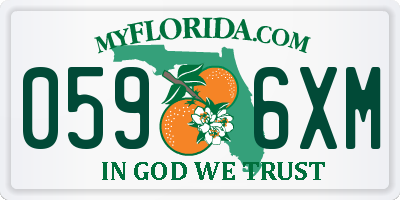 FL license plate 0596XM