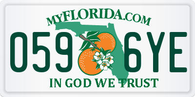FL license plate 0596YE