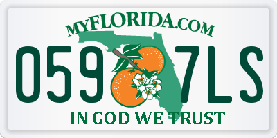 FL license plate 0597LS