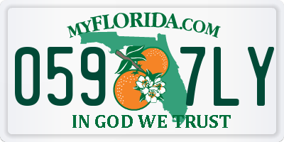 FL license plate 0597LY