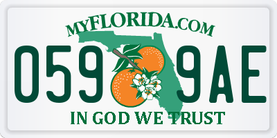FL license plate 0599AE