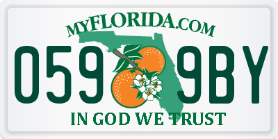 FL license plate 0599BY