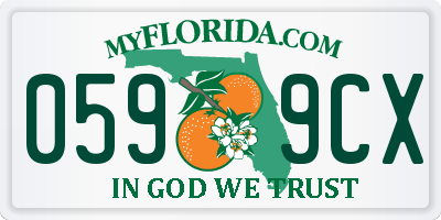 FL license plate 0599CX