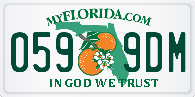 FL license plate 0599DM