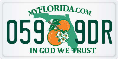 FL license plate 0599DR