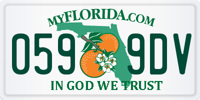 FL license plate 0599DV