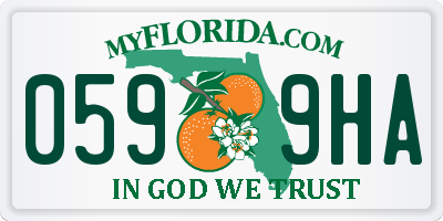 FL license plate 0599HA