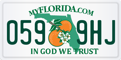 FL license plate 0599HJ
