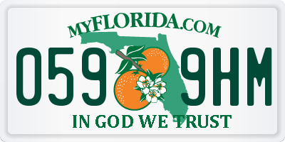 FL license plate 0599HM